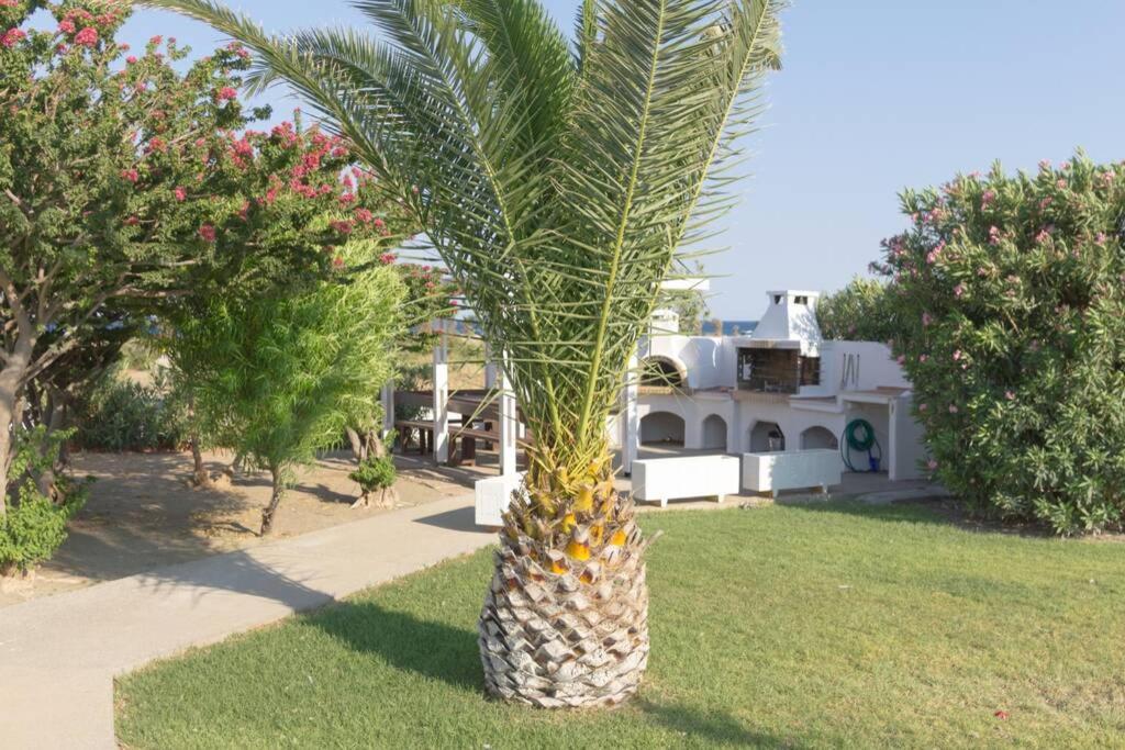 Renes Paradise Seahome - Afandou Beach, Rhodes Kolymbia Zewnętrze zdjęcie